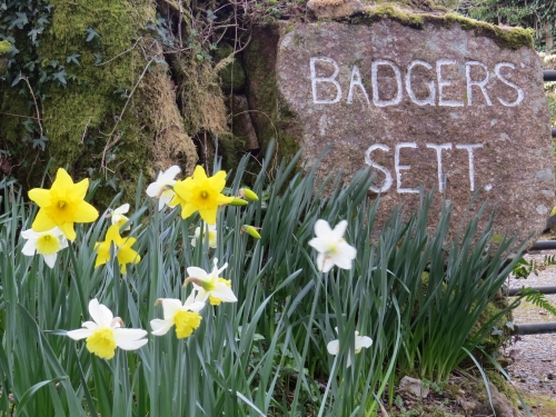 Winter and Spring in Cornwall